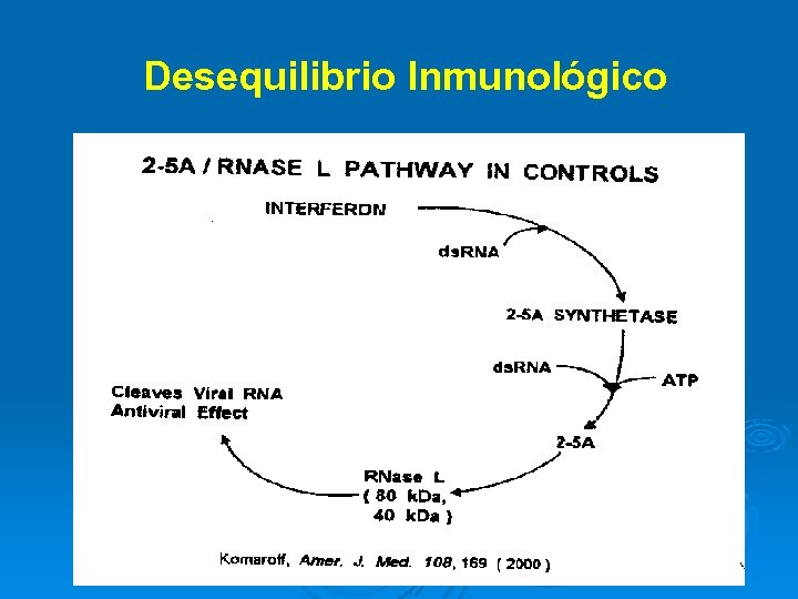 Desequilibrio Inmunológico 
