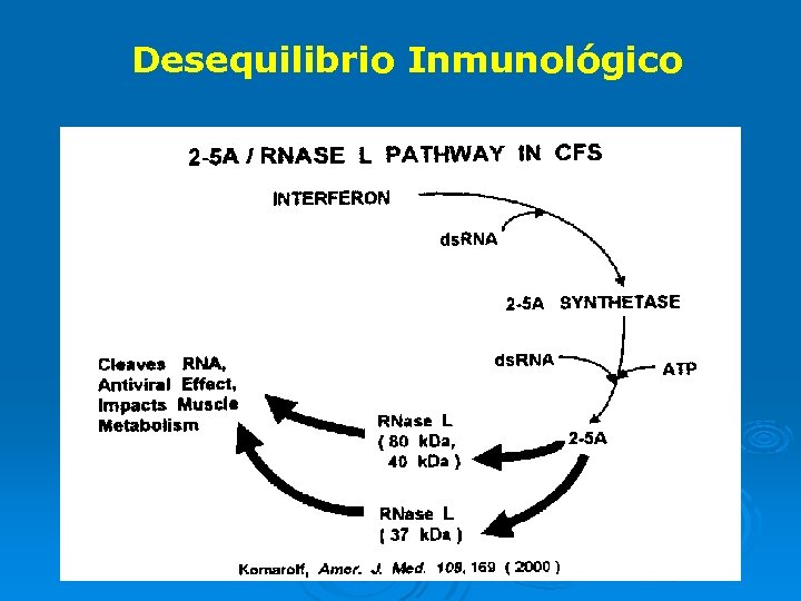 Desequilibrio Inmunológico 