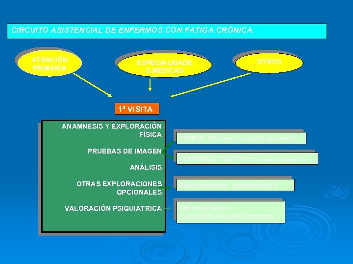 CIRCUITO ASISTENCIAL DE ENFERMOS CON FATIGA CRÓNICA ATENCIÓN PRIMARIA ESPECIALIDADE S MÉDICAS OTROS 1ª