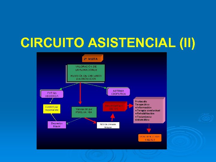 CIRCUITO ASISTENCIAL (II) 