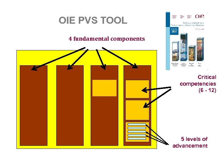 OIE PVS TOOL 4 fundamental components Critical competencies (6 - 12) 5 levels of