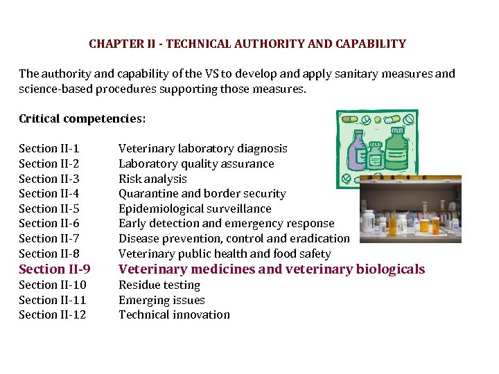 CHAPTER II - TECHNICAL AUTHORITY AND CAPABILITY The authority and capability of the VS