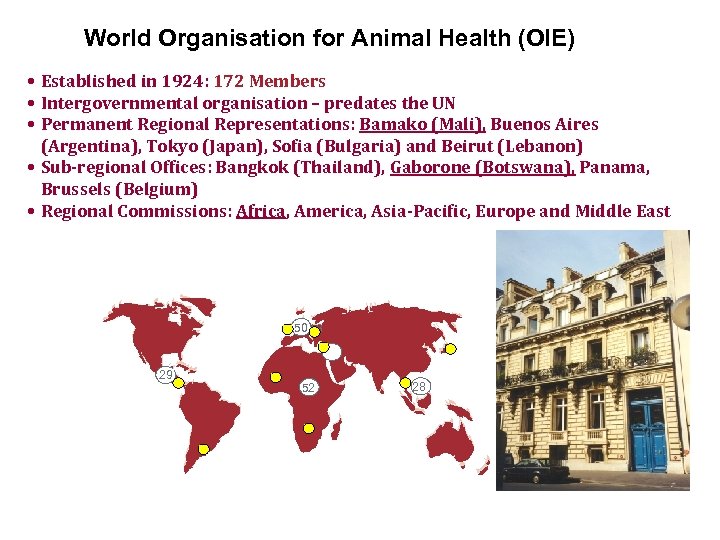 World Organisation for Animal Health (OIE) • Established in 1924: 172 Members • Intergovernmental