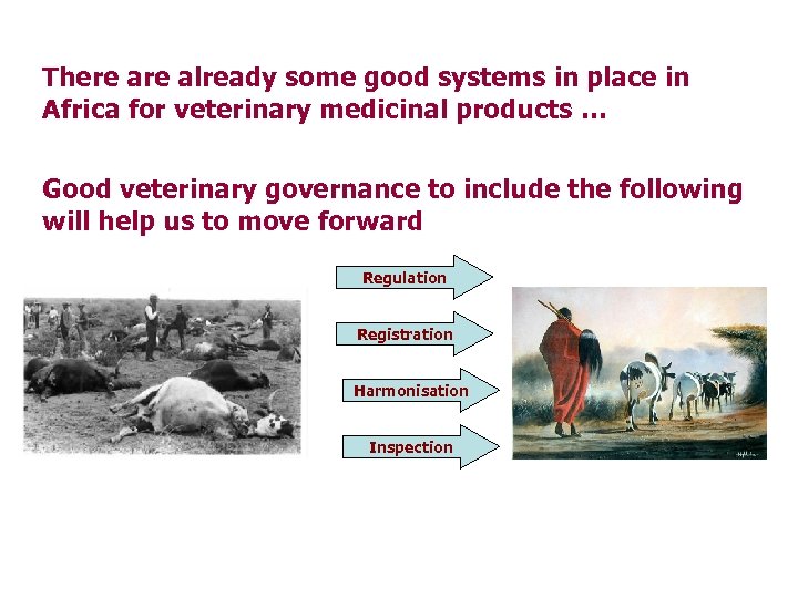 There already some good systems in place in Africa for veterinary medicinal products …