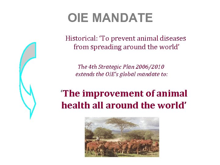 OIE MANDATE Historical: ‘To prevent animal diseases from spreading around the world’ The 4