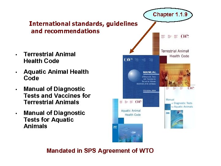 Chapter 1. 1. 9 International standards, guidelines and recommendations • Terrestrial Animal Health Code