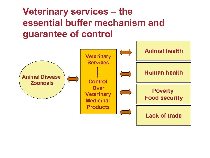 Veterinary services – the essential buffer mechanism and guarantee of control Veterinary Services Animal