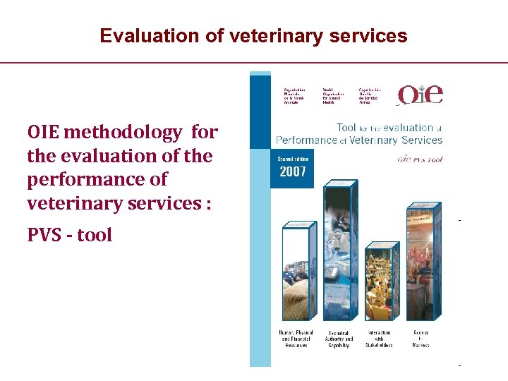 Evaluation of veterinary services OIE methodology for the evaluation of the performance of veterinary