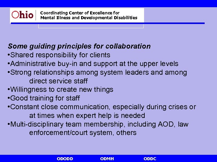 Coordinating Center of Excellence for Mental Illness and Developmental Disabilities Some guiding principles for
