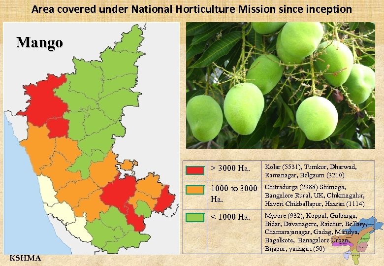 Area covered under National Horticulture Mission sinception Mango > 3000 Ha. 1000 to 3000