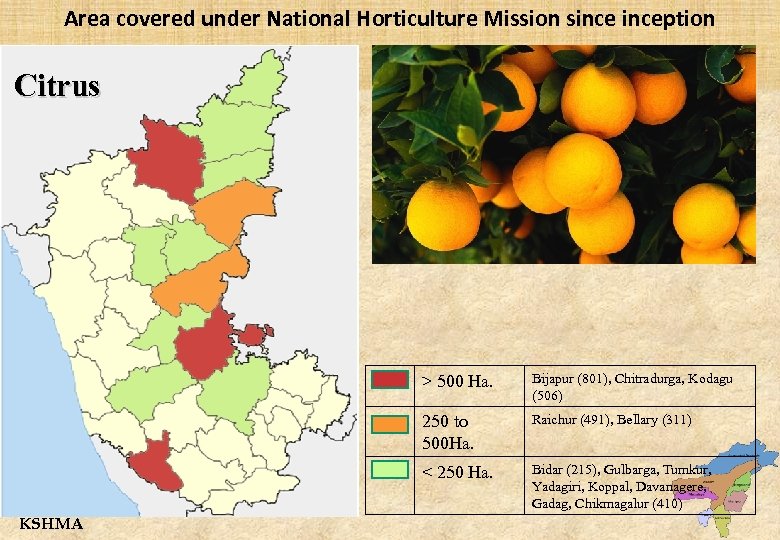 Area covered under National Horticulture Mission sinception Citrus > 500 Ha. 250 to 500