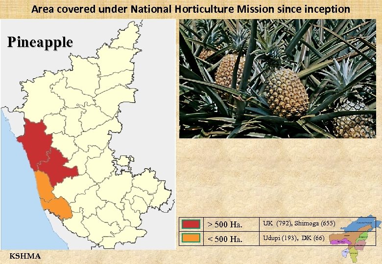 Area covered under National Horticulture Mission sinception Pineapple > 500 Ha. < 500 Ha.