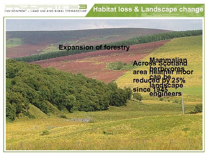 Habitat loss & Landscape change Expansion of forestry Mammalian Across Scotland herbivores area heather