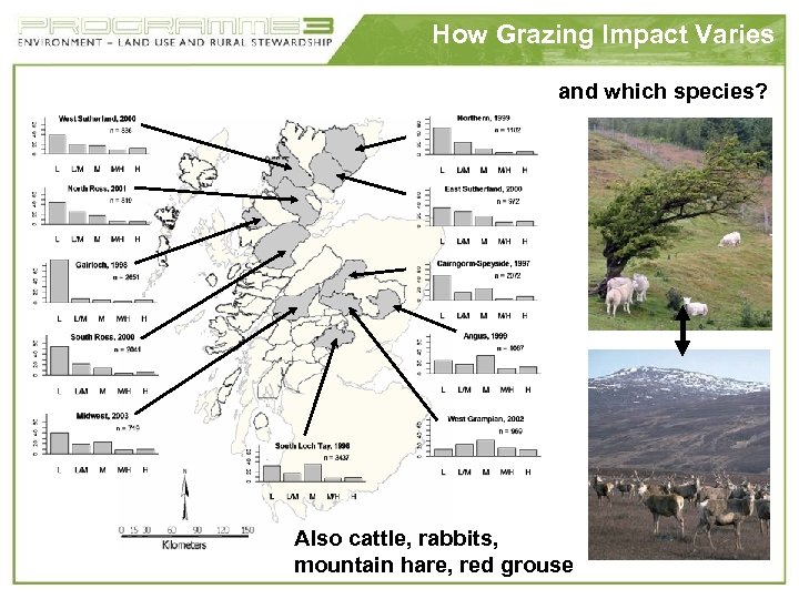 How Grazing Impact Varies and which species? Also cattle, rabbits, mountain hare, red grouse