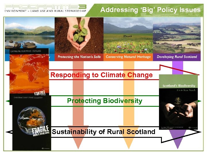 Addressing ‘Big’ Policy Issues Responding to Climate Change Protecting Biodiversity Sustainability of Rural Scotland