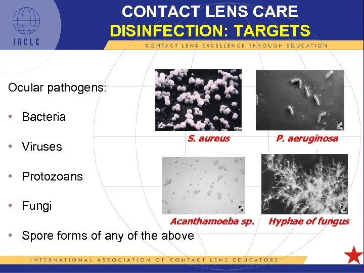 CONTACT LENS CARE DISINFECTION: TARGETS Ocular pathogens: • Bacteria • Viruses S. aureus P.