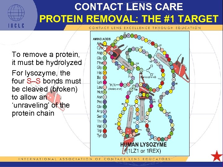 CONTACT LENS CARE PROTEIN REMOVAL: THE #1 TARGET To remove a protein, it must