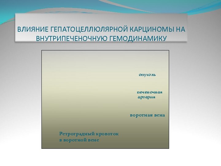 ВЛИЯНИЕ ГЕПАТОЦЕЛЛЮЛЯРНОЙ КАРЦИНОМЫ НА ВНУТРИПЕЧЕНОЧНУЮ ГЕМОДИНАМИКУ опухоль печеночная артерия воротная вена Ретроградный кровоток в