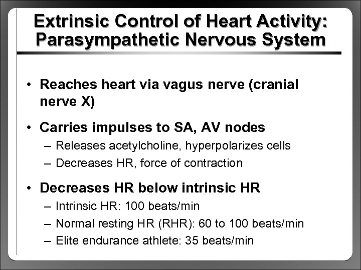 Extrinsic Control of Heart Activity: Parasympathetic Nervous System • Reaches heart via vagus nerve