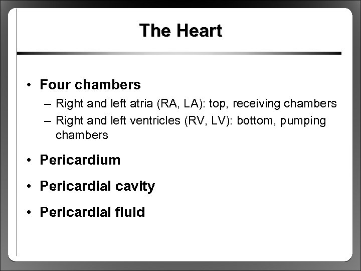 The Heart • Four chambers – Right and left atria (RA, LA): top, receiving