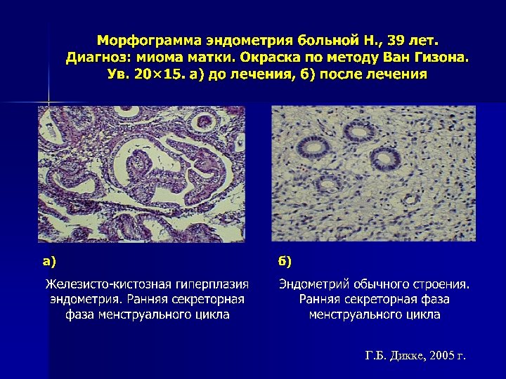 Г. Б. Дикке, 2005 г. 