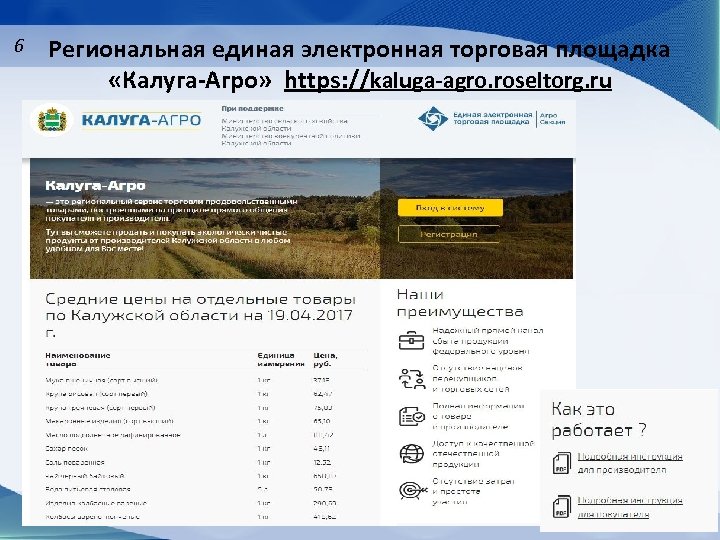 6 Региональная единая электронная торговая площадка «Калуга-Агро» https: //kaluga-agro. roseltorg. ru 