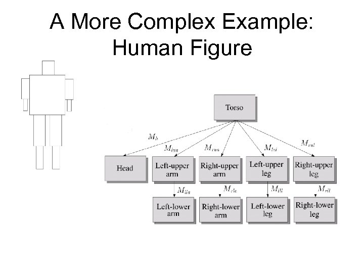 A More Complex Example: Human Figure 