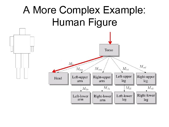 A More Complex Example: Human Figure 