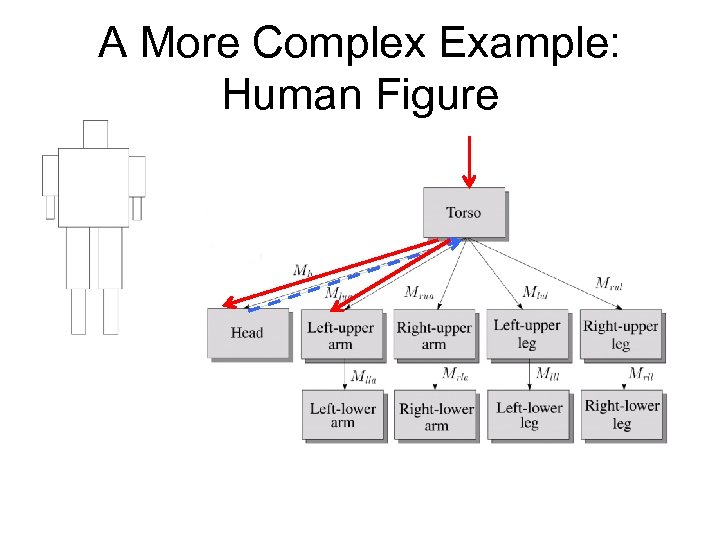 A More Complex Example: Human Figure 