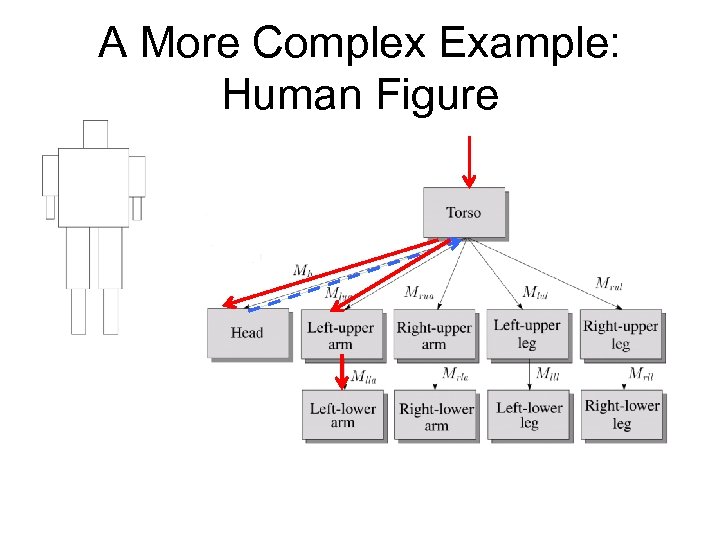 A More Complex Example: Human Figure 