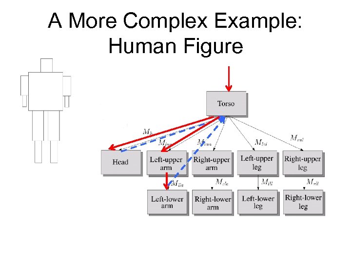 A More Complex Example: Human Figure 