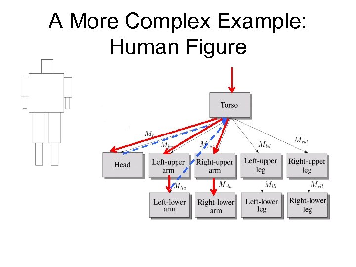 A More Complex Example: Human Figure 