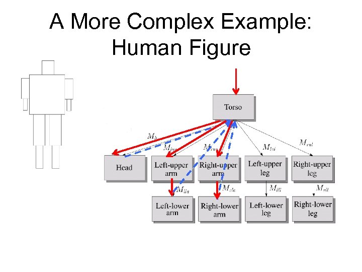 A More Complex Example: Human Figure 