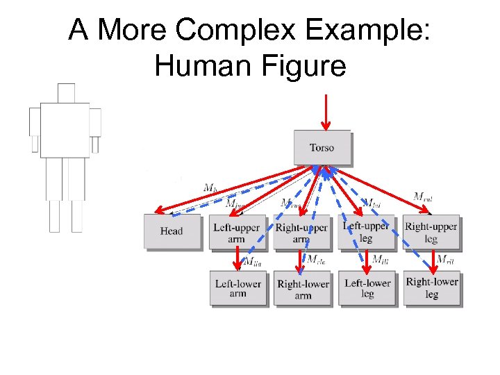 A More Complex Example: Human Figure 