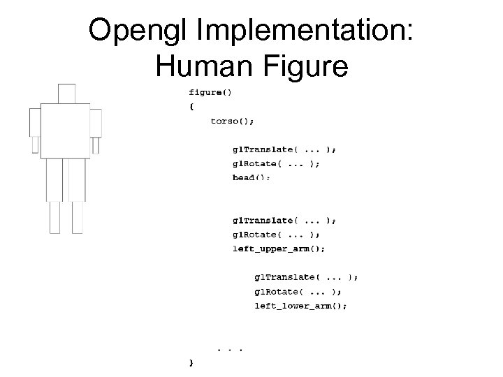 Opengl Implementation: Human Figure 