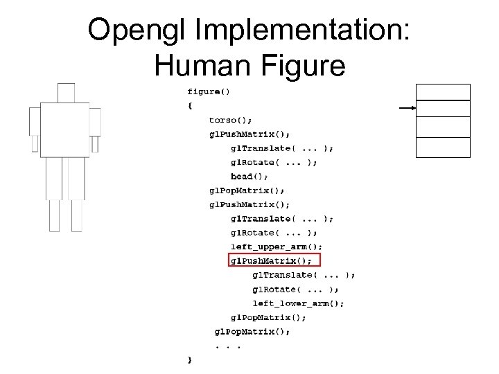 Opengl Implementation: Human Figure 