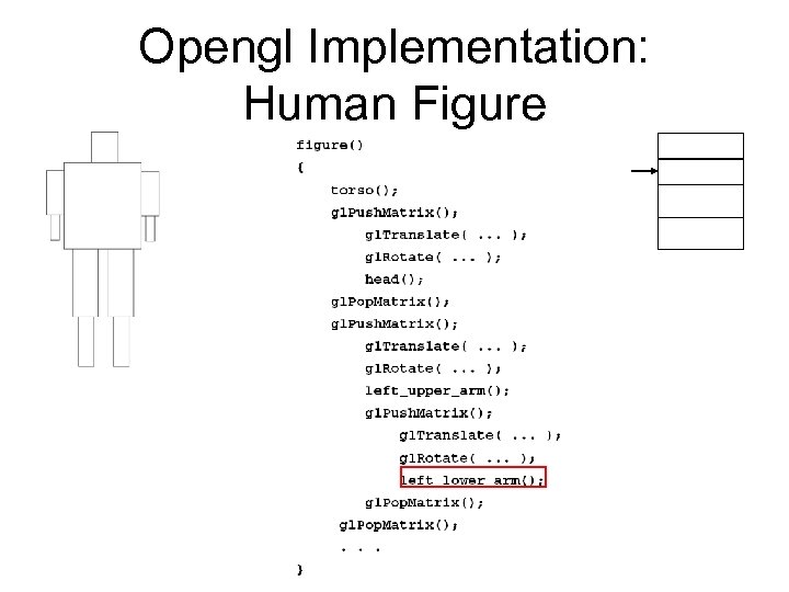 Opengl Implementation: Human Figure 