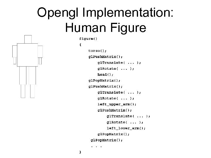 Opengl Implementation: Human Figure 