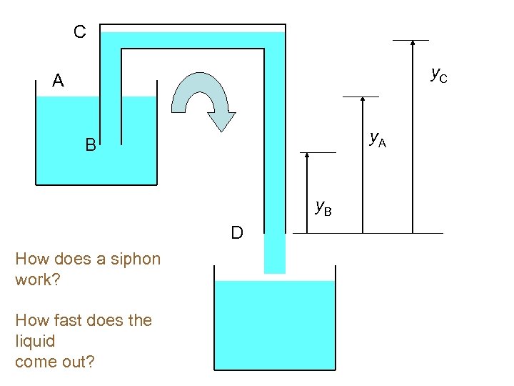 C y. C A y. A B y. B D How does a siphon