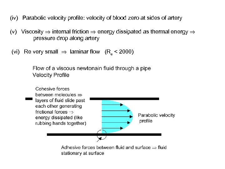 (iv) Parabolic velocity profile: velocity of blood zero at sides of artery (v) Viscosity