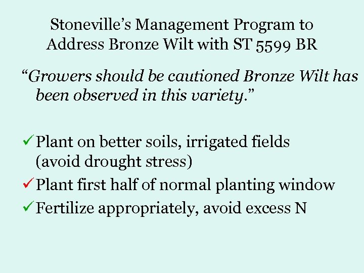 Stoneville’s Management Program to Address Bronze Wilt with ST 5599 BR “Growers should be