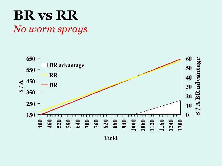 BR vs RR No worm sprays 