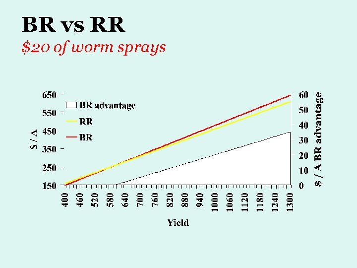 BR vs RR $20 of worm sprays 