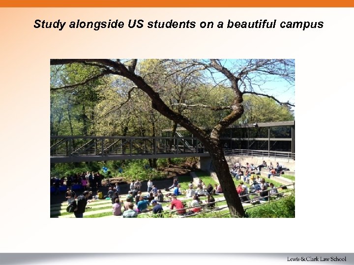 Study alongside US students on a beautiful campus 