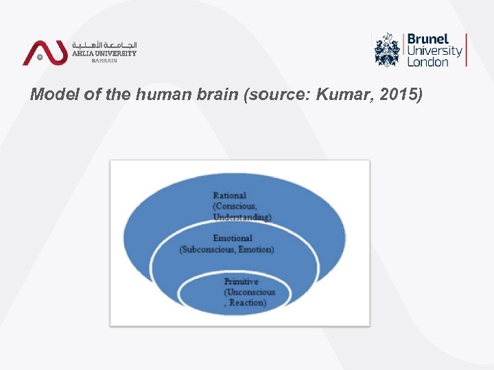 Model of the human brain (source: Kumar, 2015) 