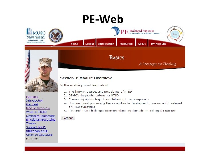 PE-Web 