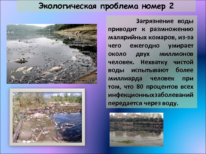 Экологическая проблема номер 2 Загрязнение воды приводит к размножению малярийных комаров, из-за чего ежегодно