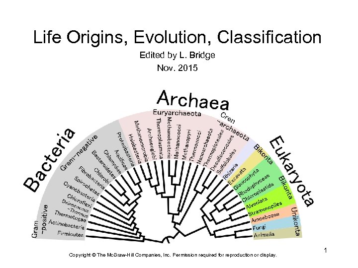 Life Origins, Evolution, Classification Edited by L. Bridge Nov. 2015 Copyright © The Mc.
