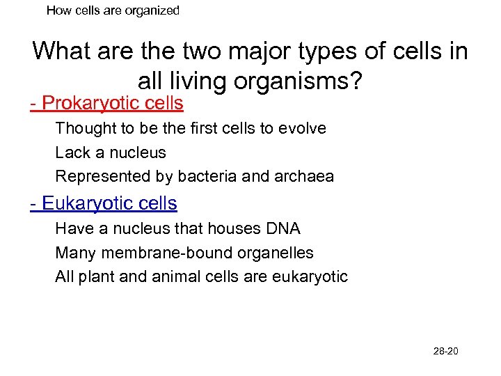 How cells are organized What are the two major types of cells in all