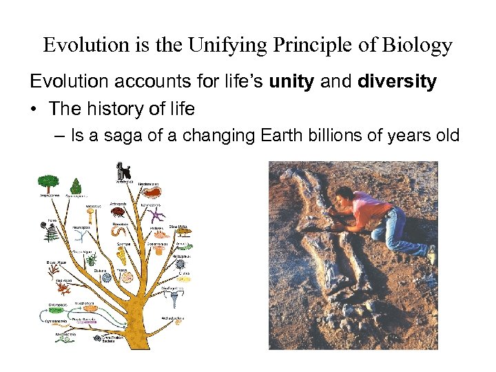 Evolution is the Unifying Principle of Biology Evolution accounts for life’s unity and diversity